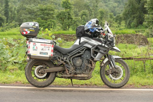 9 Used Triumph Tiger Super Bikes Second Hand Tiger Super Bikes For